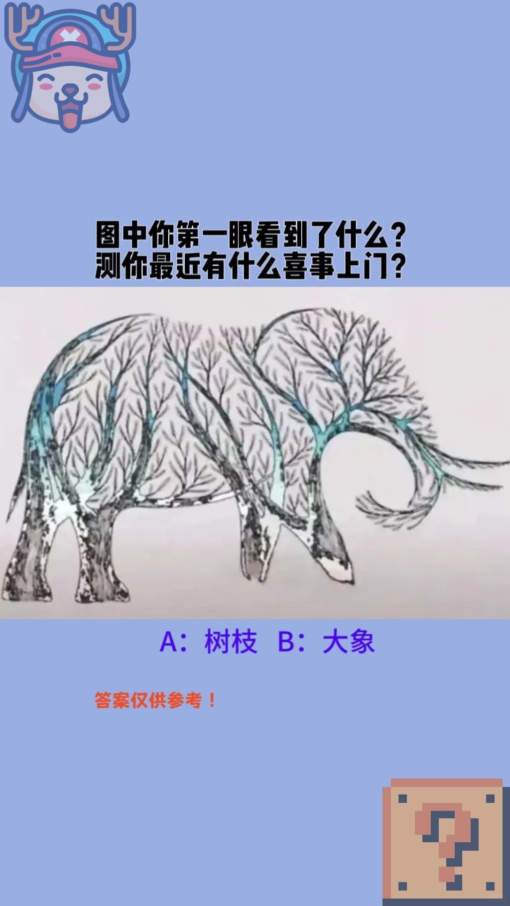 关于??的信息